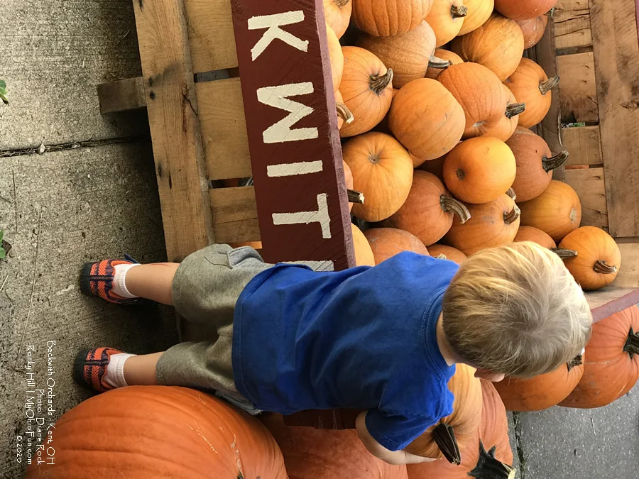 Pumpkins at the orchard market at Beckwith Orchards in Kent, Ohio