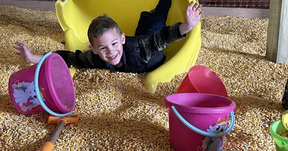 A child playing in the corn box at Cedar Crest Farm in Bolivar, Ohio
