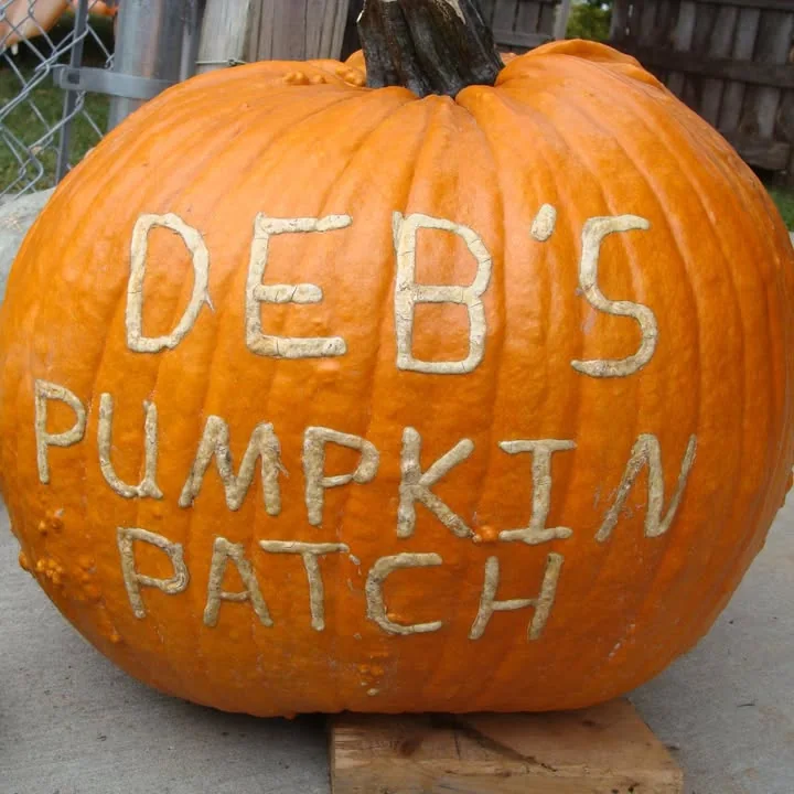 A pumpkin carved with the farm name at Deb's Pumpkin Patch in Cortland, Ohio