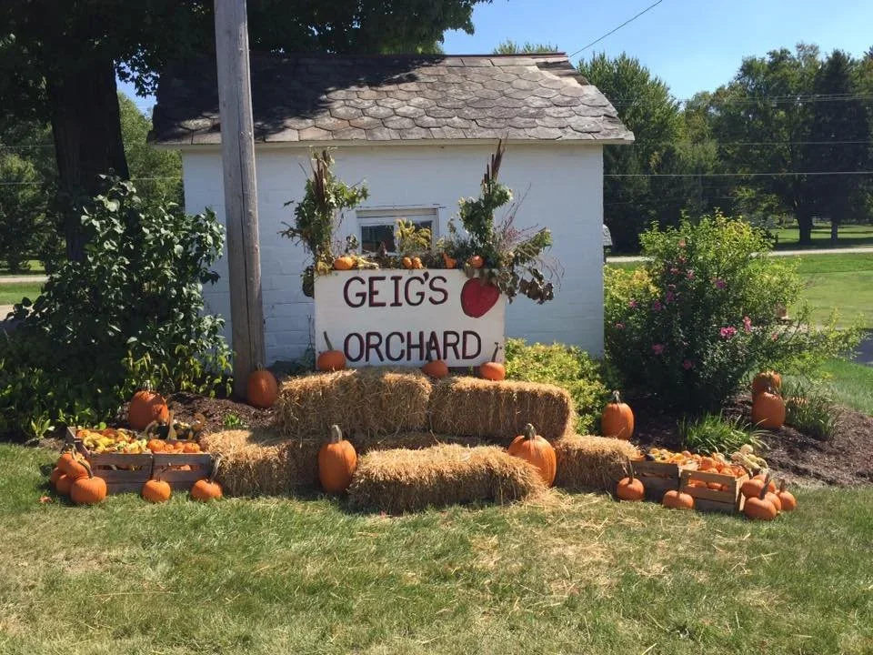 The orchard sign surrounded by pumpkins and mums at Geig's Orchard in Seville, Ohio