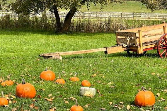 Hale Farm & Village in Bath, Ohio