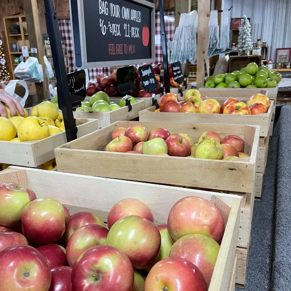 Apples for sale at the orchard market at Hartford Orchards in Hartford, Ohio