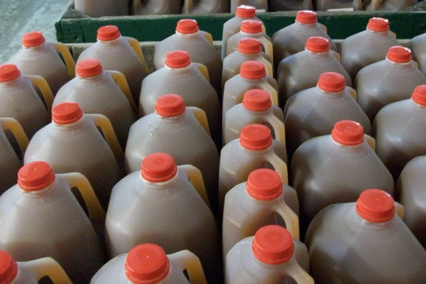 Jugs of cider at the orchard at Haus Apple Orchards & Cider Mill in Canfield, Ohio