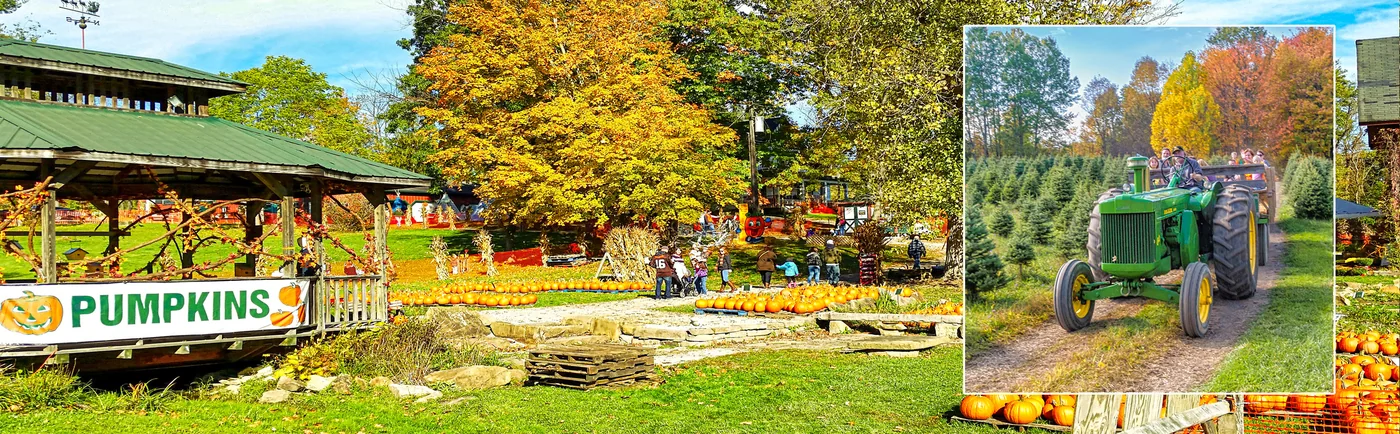 Fall scenes around the farm at Heritage Farms in Peninsula, Ohio