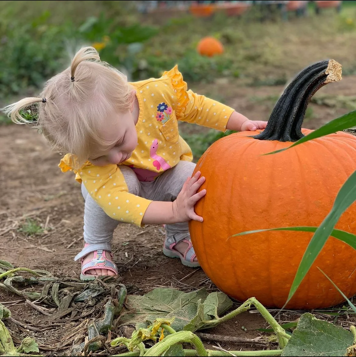 A young visitor beside a giant pumpkin at Hillcrest Orchards in Amherst, Ohio
