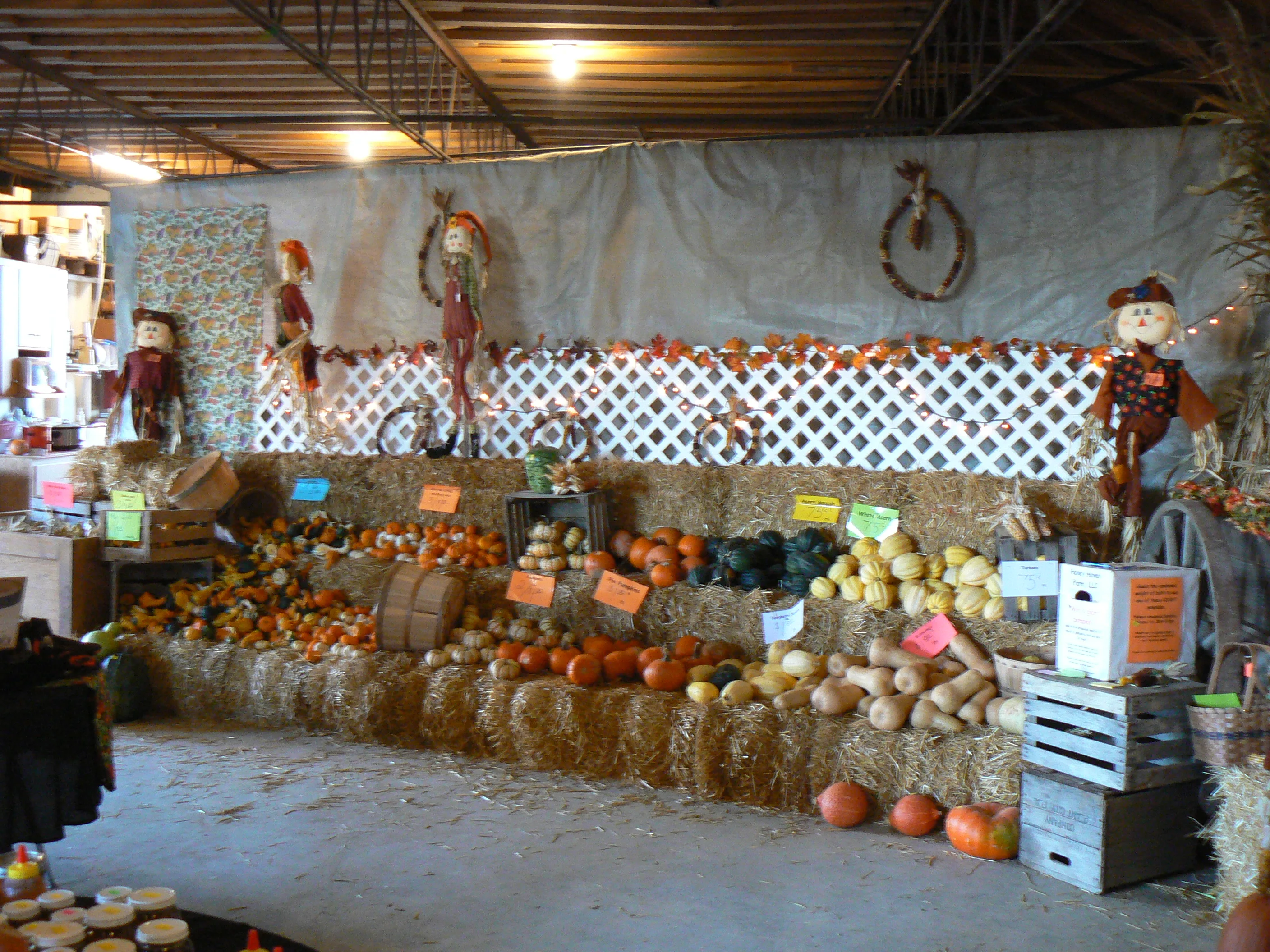 Pumpkins and gourds at Honey Haven Farm