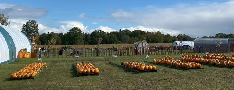 Pumpkins beside the farm buildings at Kuchta Farms in Newton Falls, Ohio