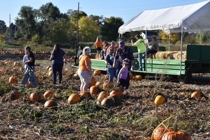 Maize Valley in Hartville, Ohio