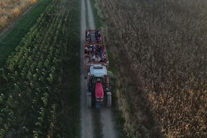 Maze Craze in New Springfield, Ohio