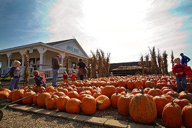 Patterson Fruit Farm in Chesterland, Ohio