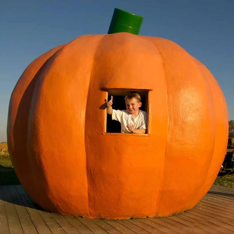 The giant pumpkin play structure at Ramseyer Farms in Wooster, Ohio
