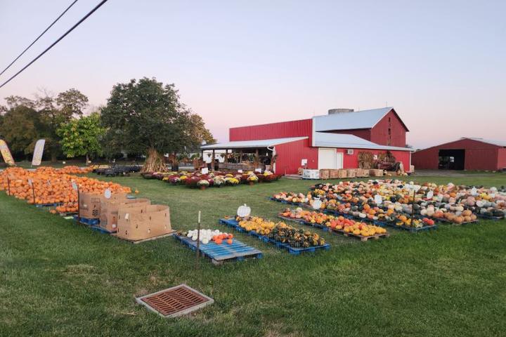 Schlechter Brothers Farm Market in Amherst, Ohio