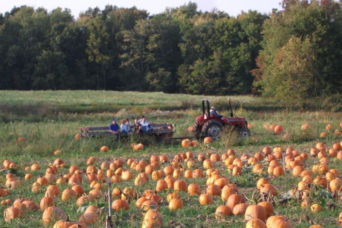 Stoney Creek Farm in West Salem, Ohio