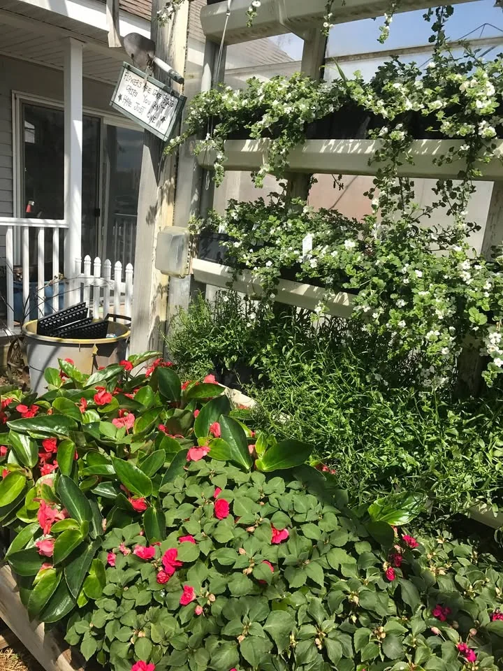 Flowers and garden plants at the farm at Sunny Dell Farms in Stow, Ohio