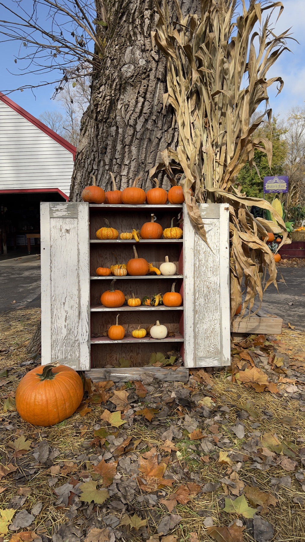 A fall pumpkin display outside Szalay’s Farm & Market