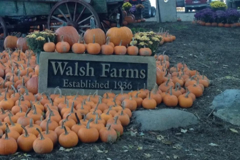 Pumpkins around the Walsh Farms sign at Walsh Farms in Doylestown, Ohio