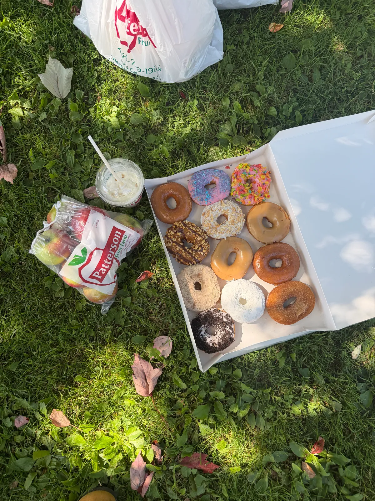 Patterson Fruit Farm donuts and apples on the grass