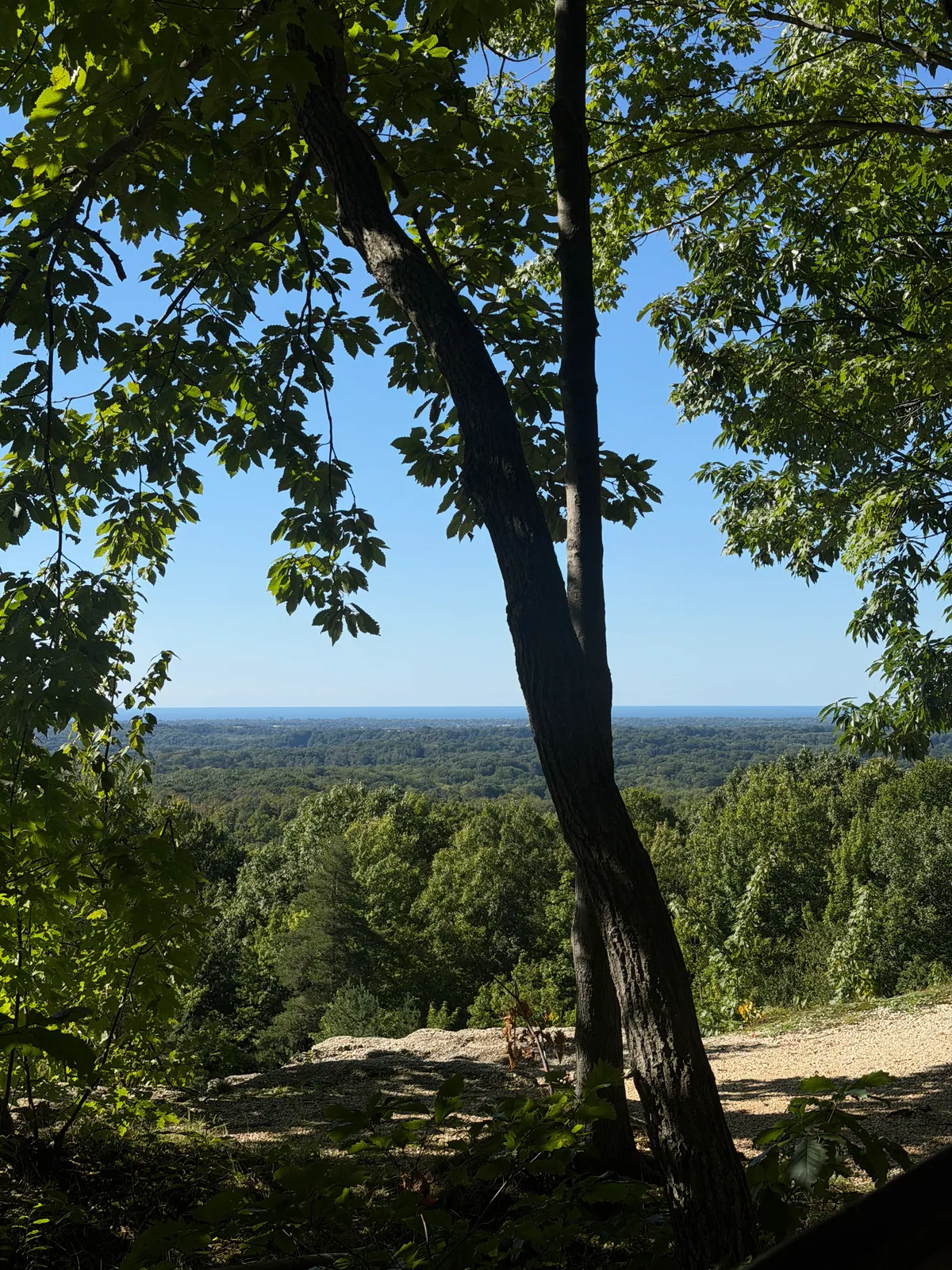Wooded overlook at Chapin Forest Reservation