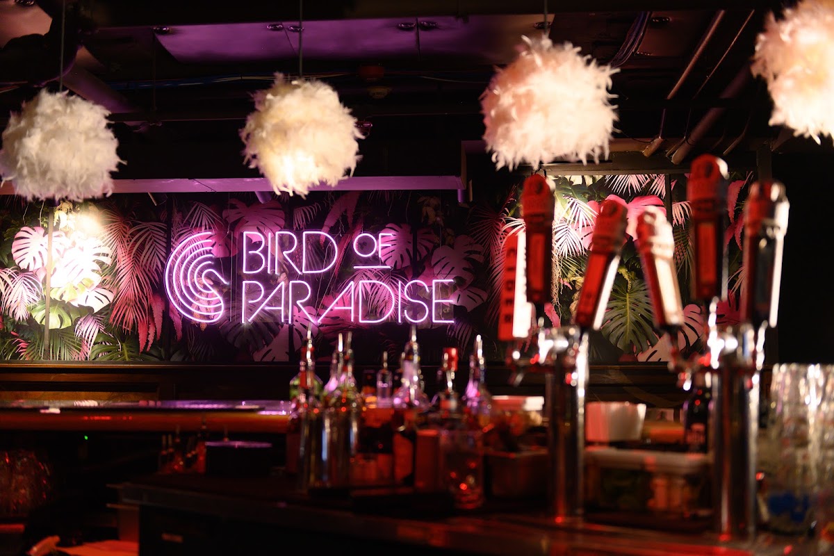 Bird of Paradise under Bright Side Restaurant in Ohio City