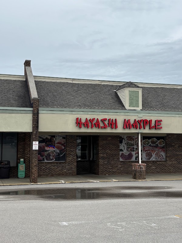 Hayashi Mayple in Chardon