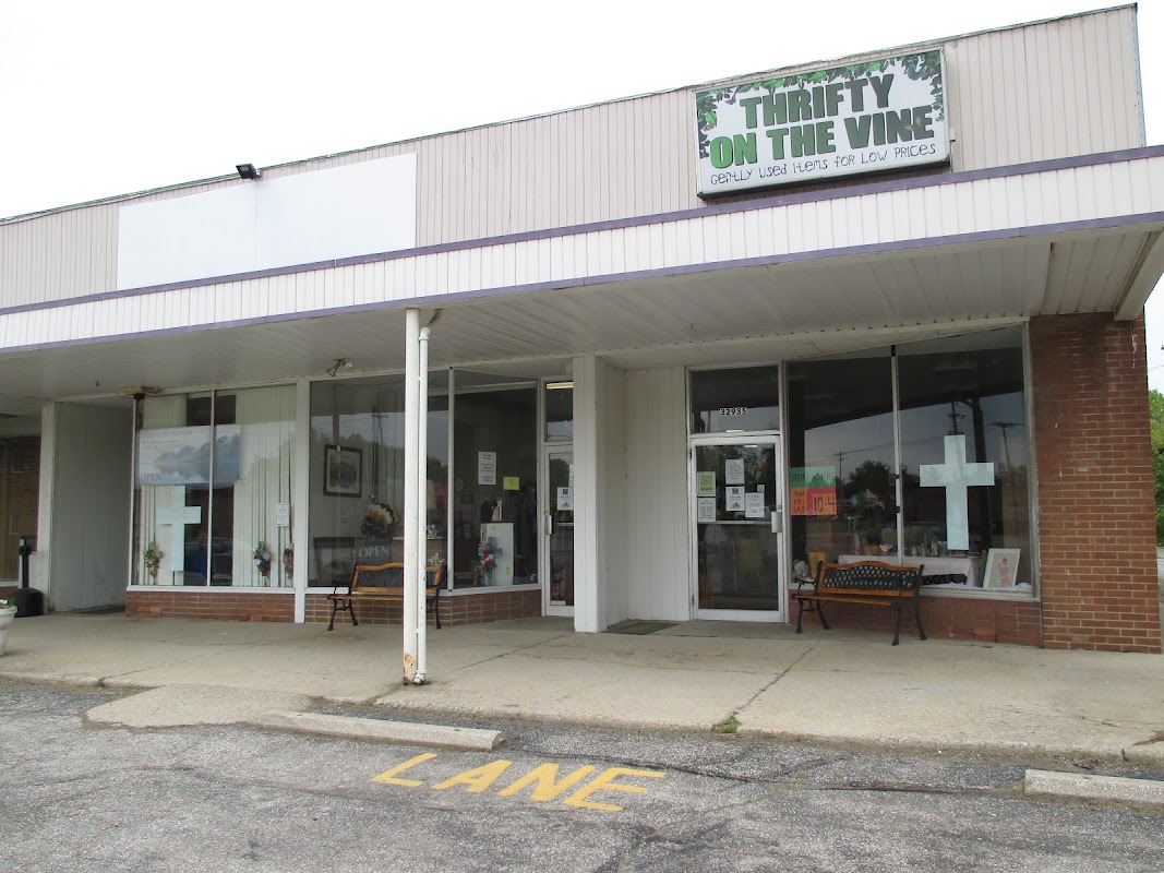 Thrifty On The Vine in Willowick