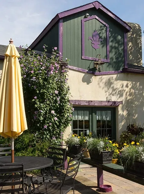 Harpersfield Vineyard
