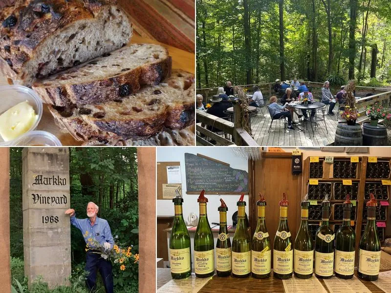 Markko Vineyard and Winery