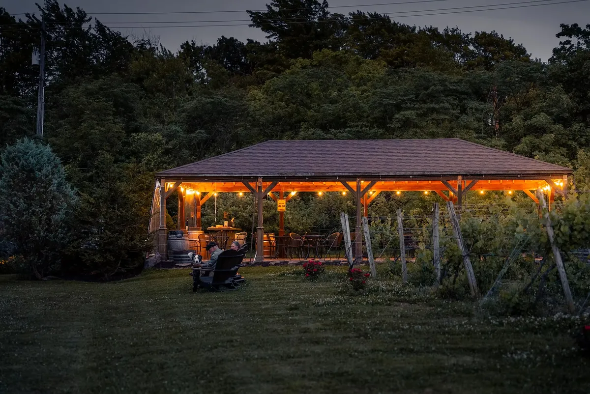 Maple Ridge Vineyard