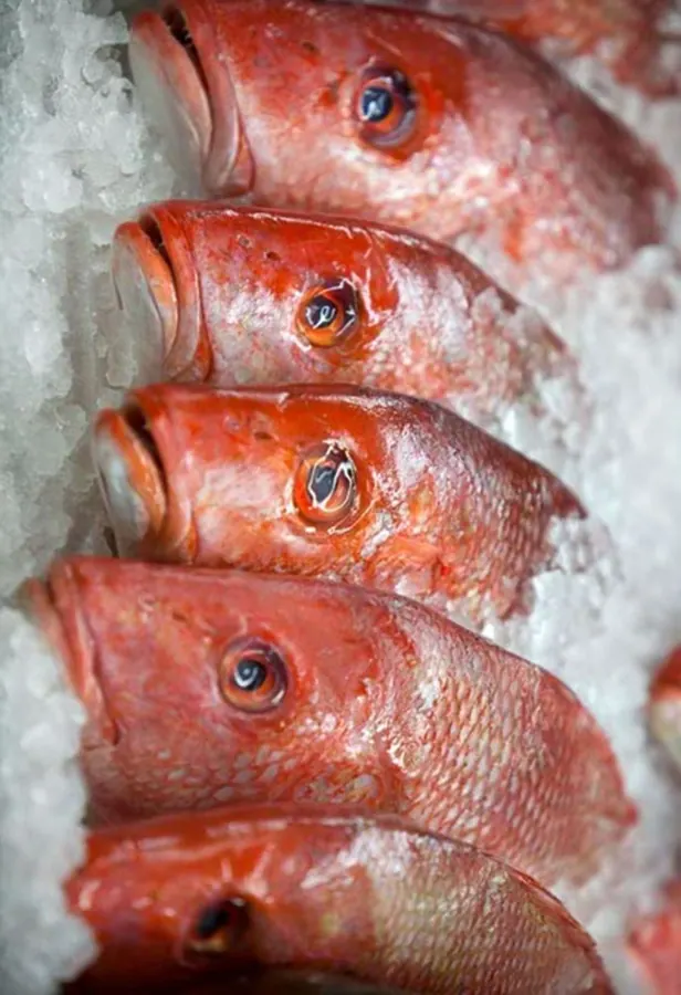 Kate's Fish at Cleveland's West Side Market